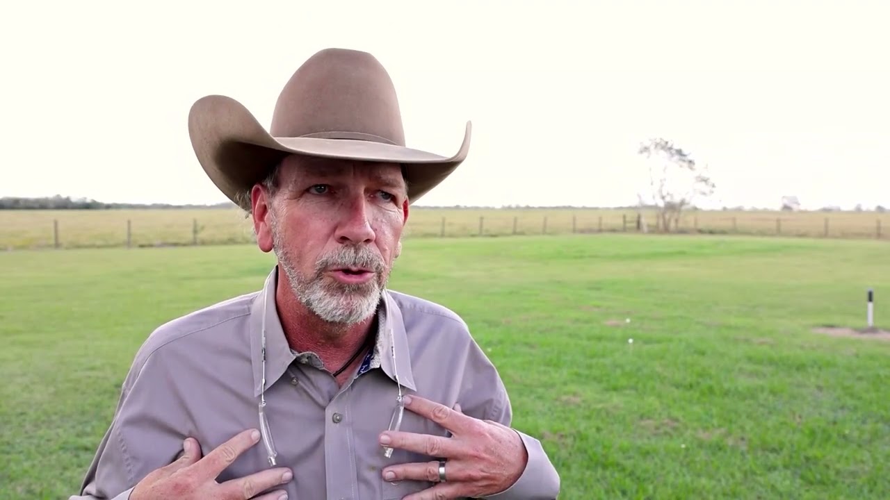A Texas rancher rejects Trump's plan to import more Argentine beef | REUTERS