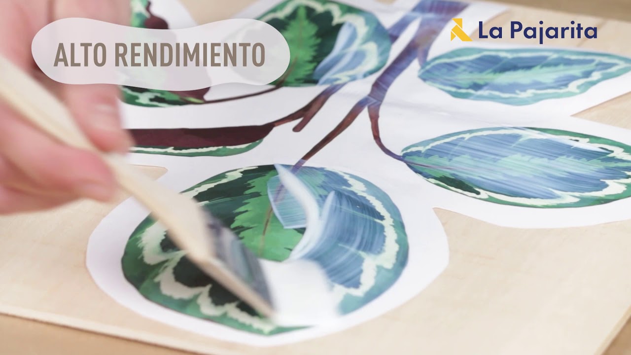 Tutorial Foto Transfer - Transfiere im&aacute;genes con el Foto Transfer de Pinturas La Pajarita