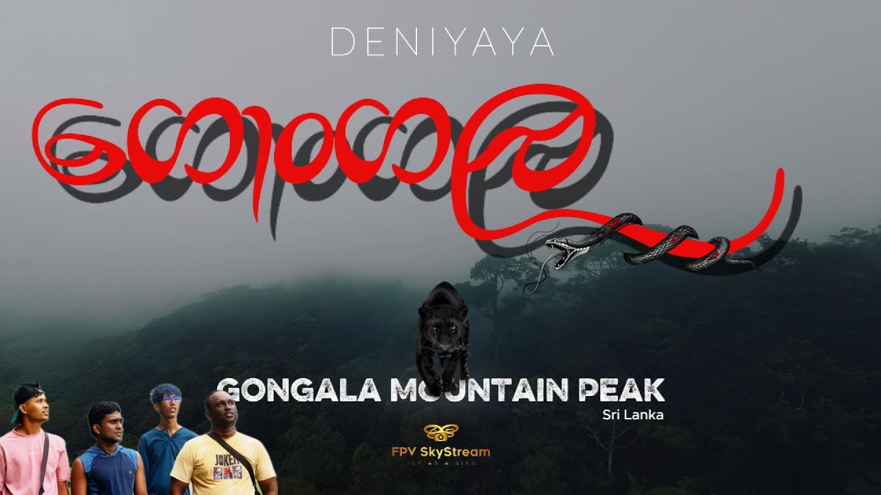 අඳුරු වනාන්තරයෙන් ගොංගල කන්දට ගිය ගමන😱😰 | GONGALA DENIYAYA