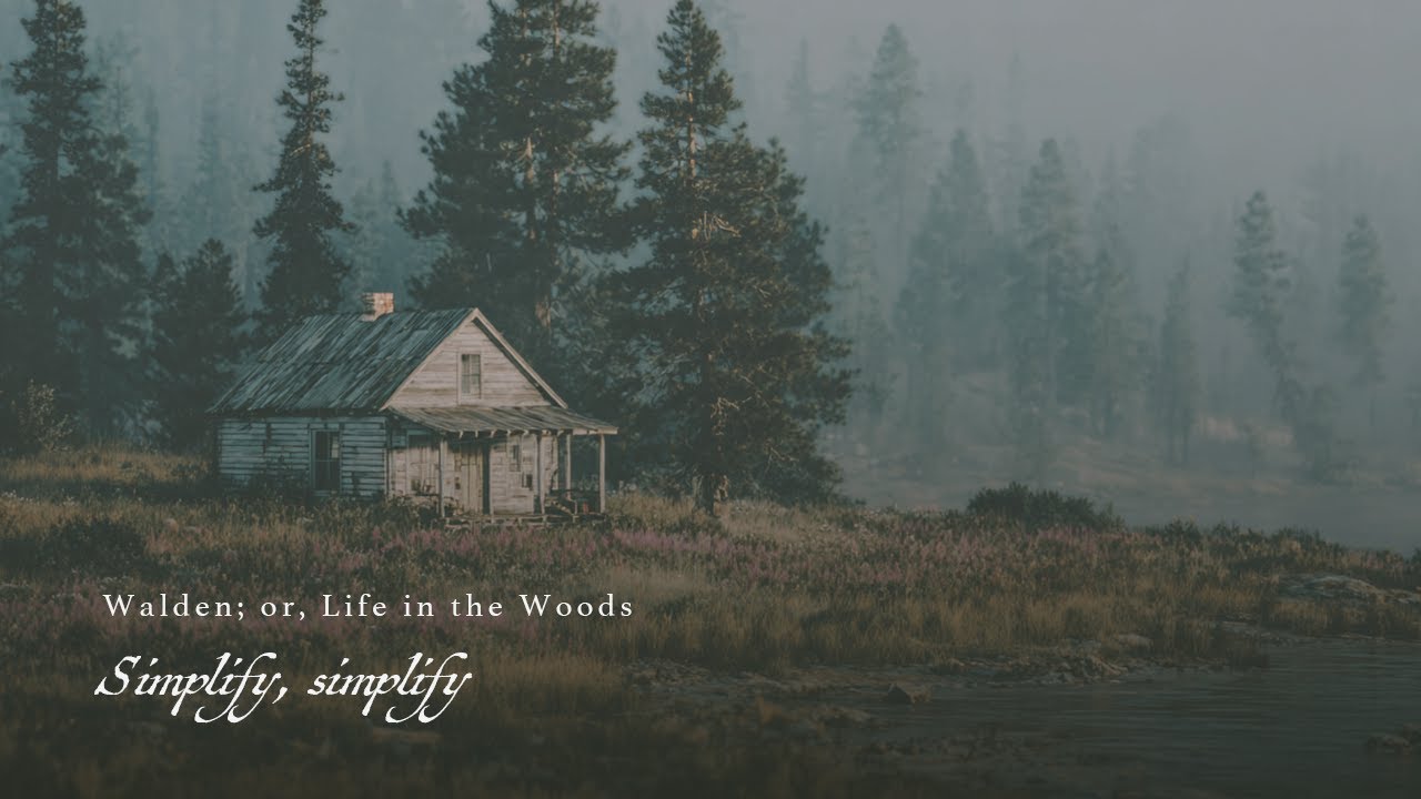 &ldquo;I went to the woods because I wished to live deliberately&rdquo; &mdash; Walden Ambient Soundscape