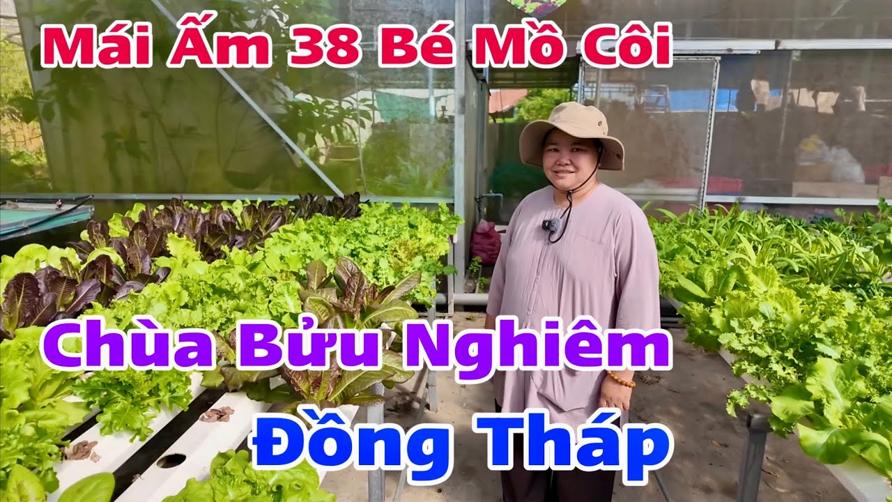 Mái Ấm 38 Bé Mồ Côi Chùa Bửu Nghiêm Đồng Tháp Và Tấm Lòng Cưu Mang Người Cơ Nhỡ | Khương Nhựt Minh