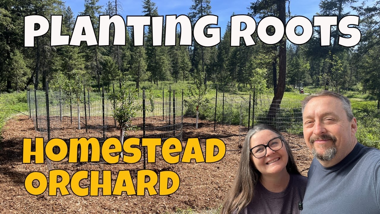 DIY Orchard - Fruit trees for future food 🍎 