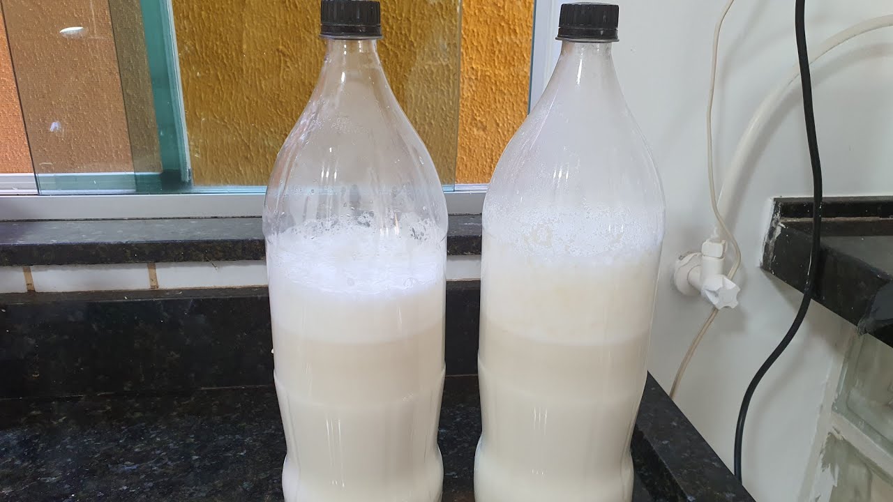 Fermento natural de batatinha  🥔