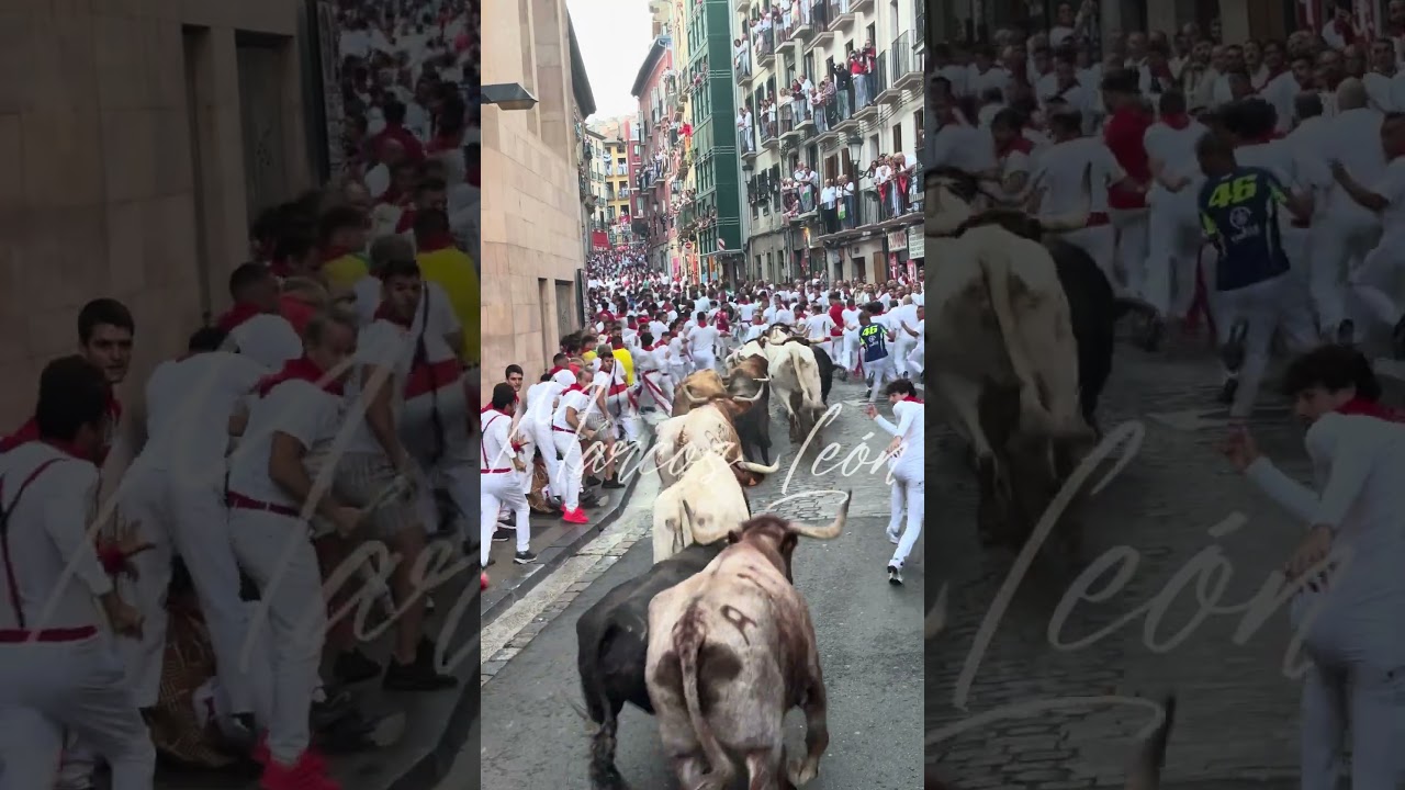 Quinto encierro San Ferm&iacute;n 2025 - Ganader&iacute;a Jandilla