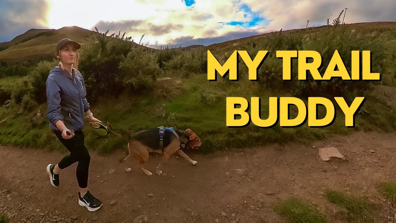 Pentlands Trail Run With My Dog Plus Cosy Narrowboat Life