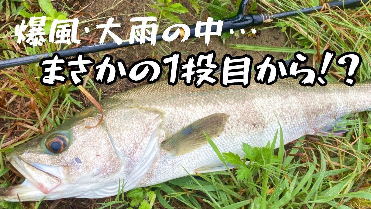 【シーバス】なかなか釣れず迎えた大荒れの朝…水面が大きく割れた