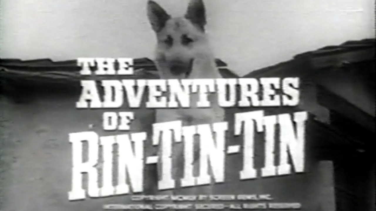 Classic TV Theme: The Adventures of Rin-Tin-Tin