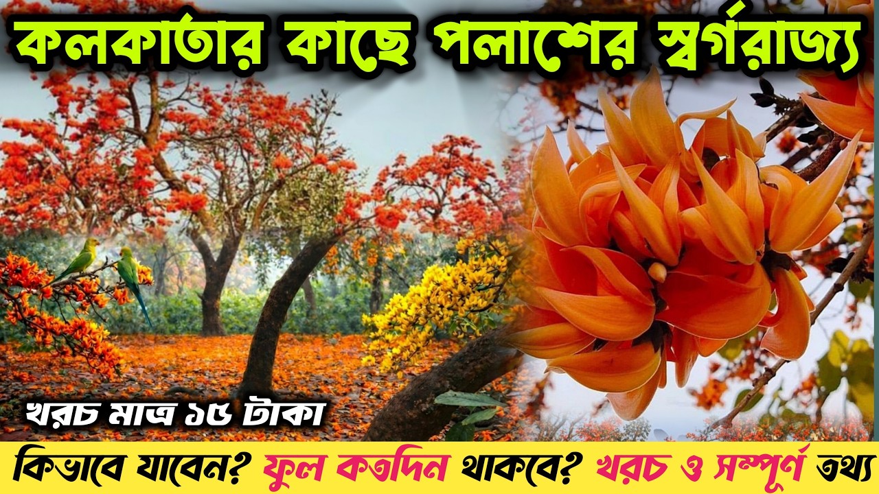 Belur Palash Bagan 2026 | Palash Garden Belur | Palash Bagan Near Kolkata | NearTourist Spt Kolkata
