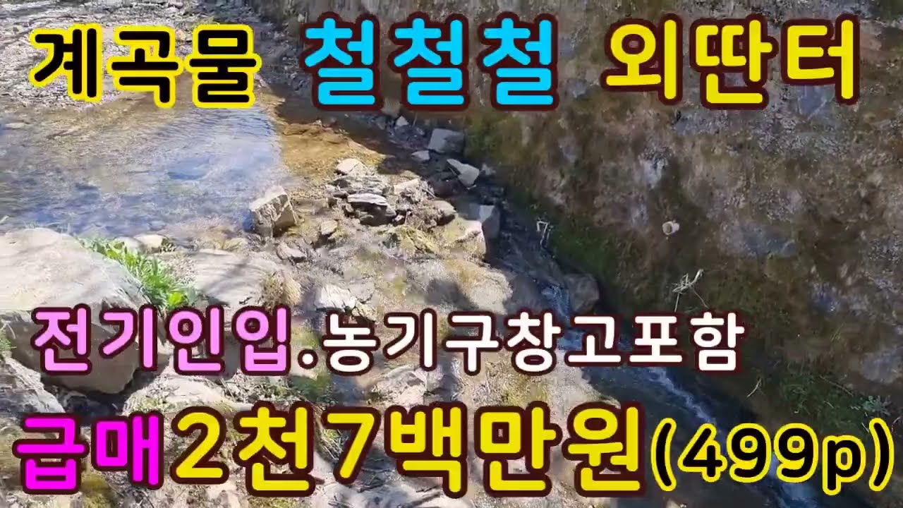 청풍호 나들목 계곡물 철철 흐르는 외딴터 각종 과일나무식재, 주말농장 매매 단양부동산,단양토지,단양싼땅 시골땅,촌땅매매,급매토지,급매땅 상담043-647-0150충북땅달인tv