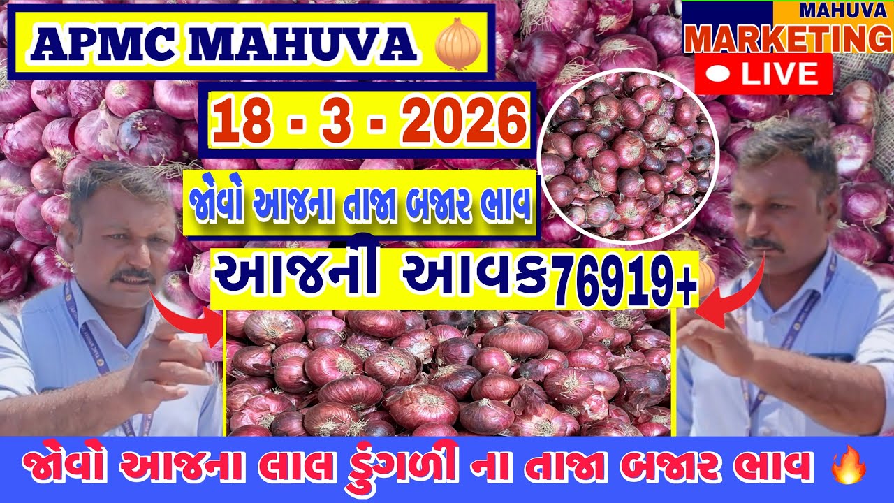 જોવો આજની લાલ ડુંગળી ની લાઈવ હરાજી | APMC MAHUVA | આજની આવક 76919+ થેલા આખી |