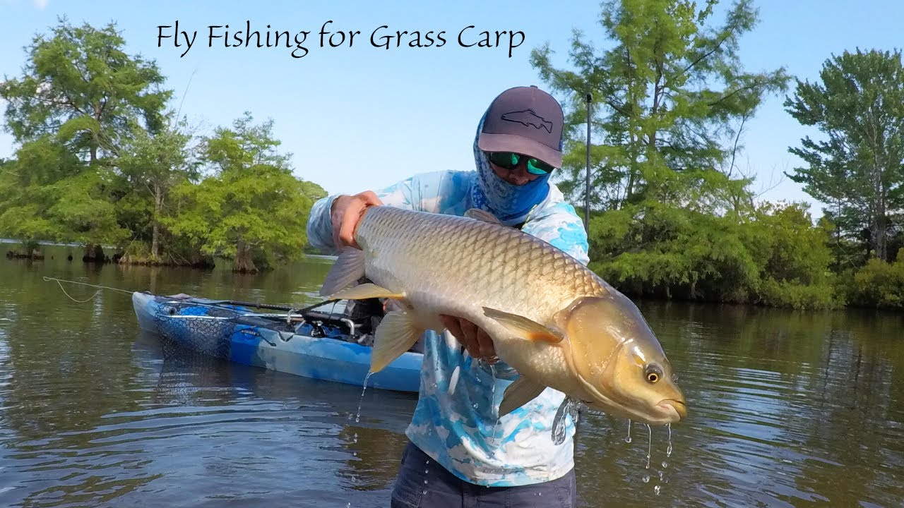 Fly Fishing for Grass Carp -- Tips Part 2