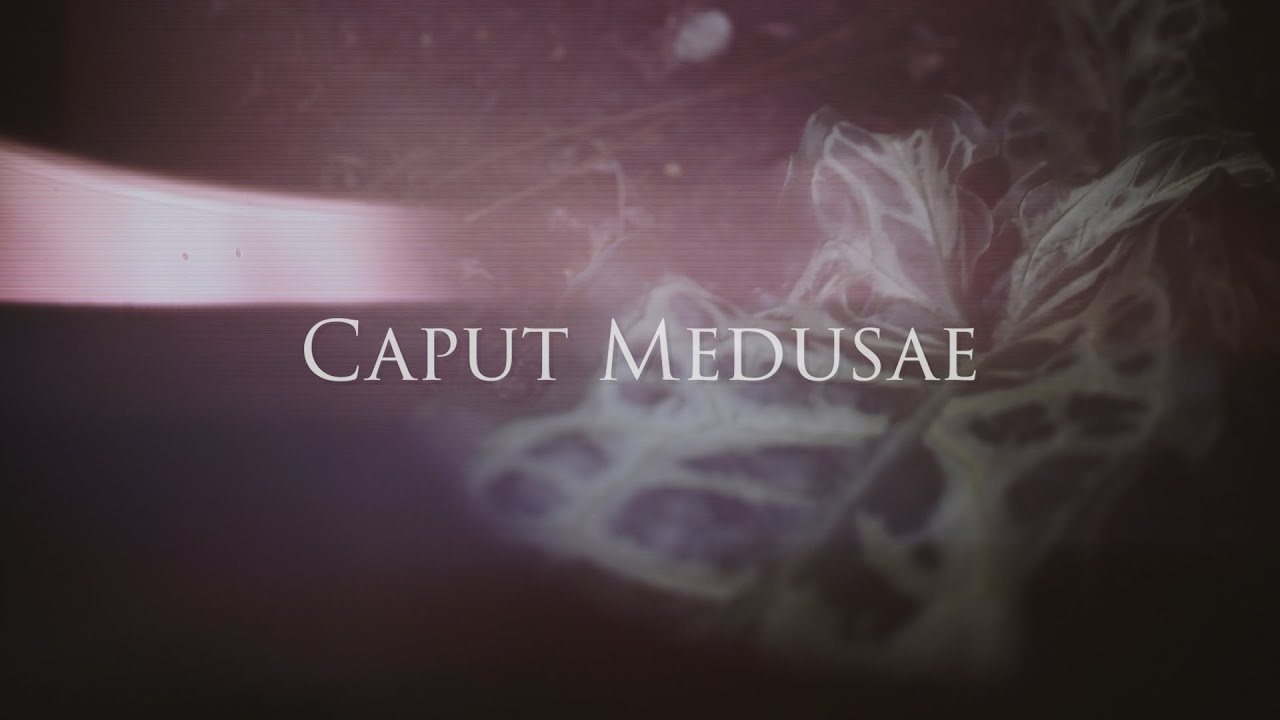 Caput Medusae - Kiss Me Deadly (Official Video)