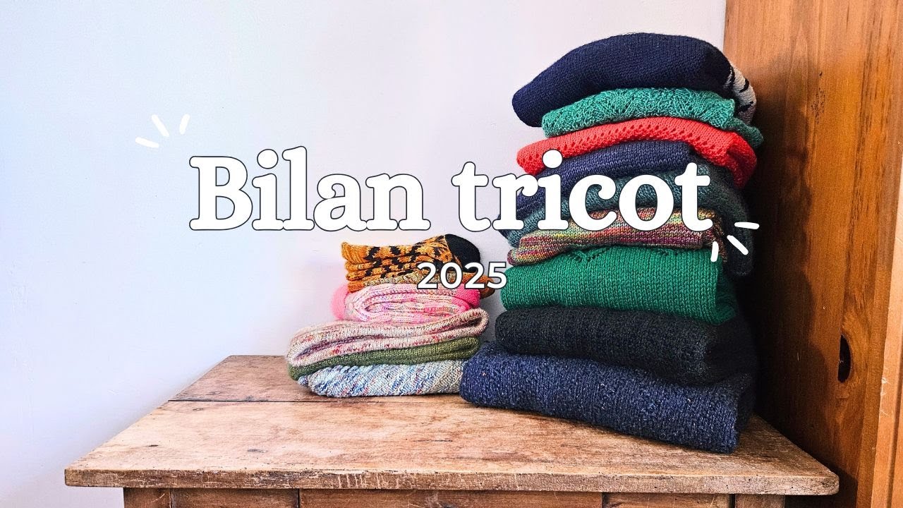 Bilan tricot 2025 - 12 km de fil, des tops et flops, et mes envies pour 2026
