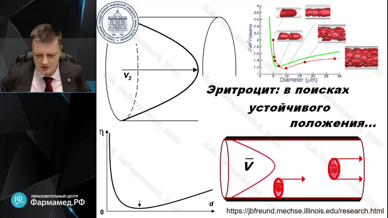 Клиническая физиология кровообращения   на каждый день Лебединский К.М.