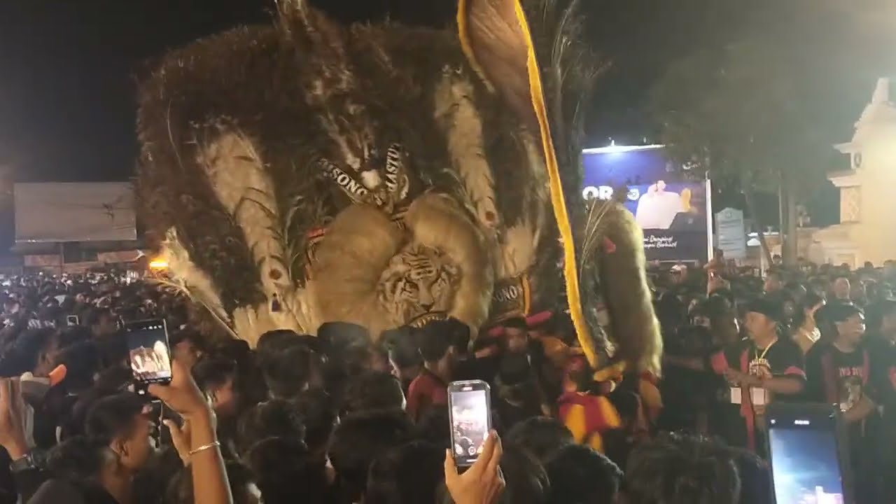 Luar biasa spektakuler dadak merak albino Reog Ponorogo bikin horeg #barongan #reogponorogo