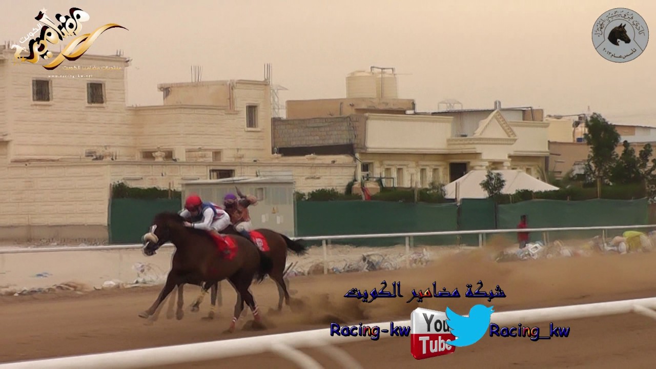 بدراني لاسطبل صباح الصليلي مهرجان قائد الانسانيه