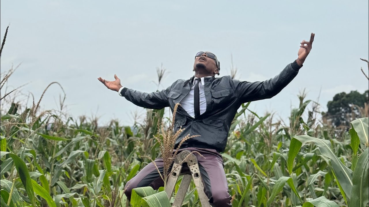 Pallaso - Bikyuuka (Official Video)