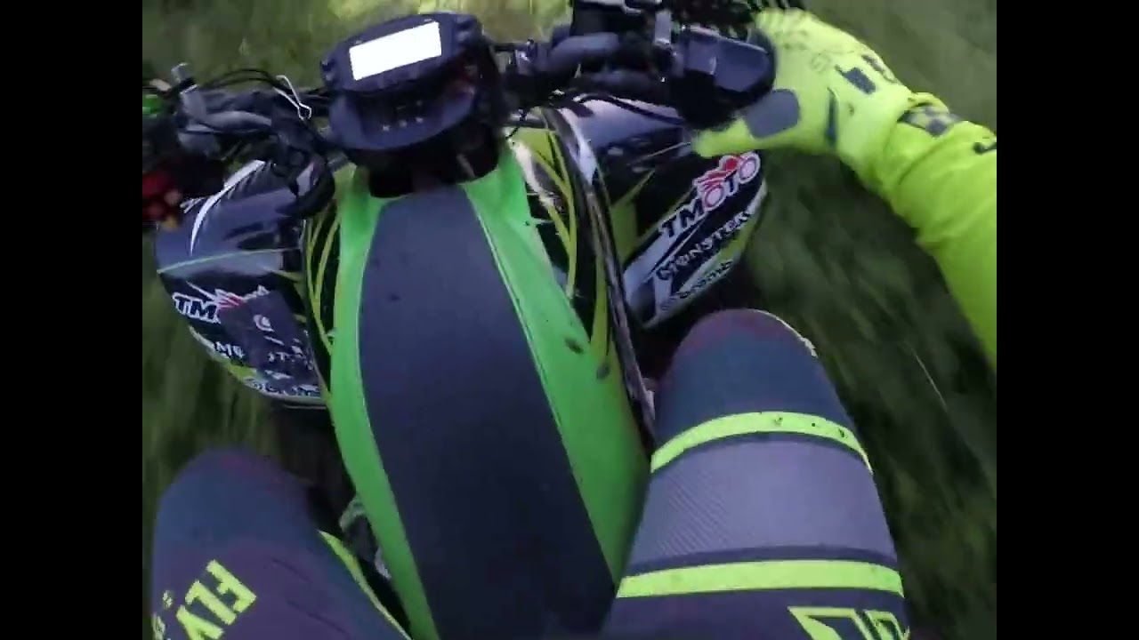 Kawasaki Kfx 700.