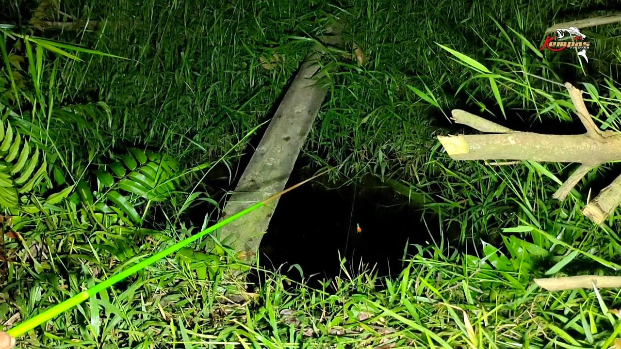 BENAR² UNIK STRIKENYA || MANCING IKAN LELE LEMBAT MALAM HARI