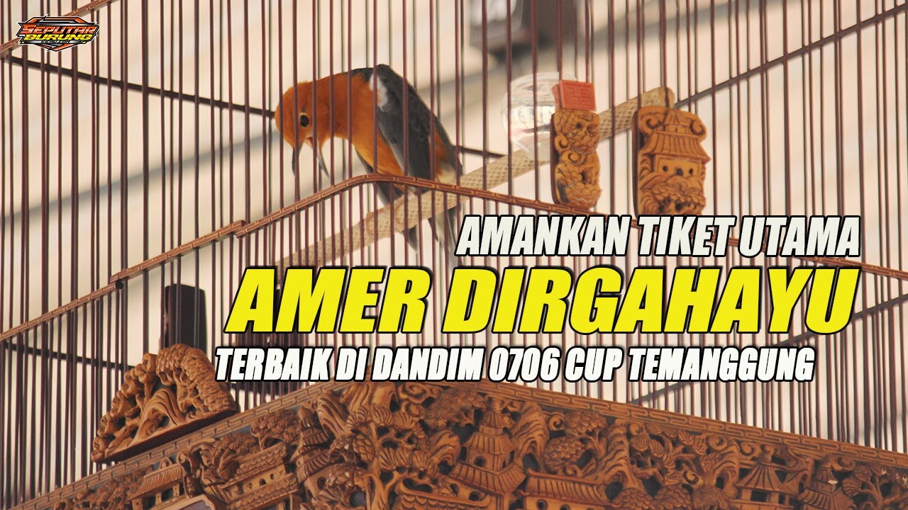 AMER DIRGAHAYU - AMANKAN TIKET UTAMA DANDIM 0706 CUP TEMANGGUNG