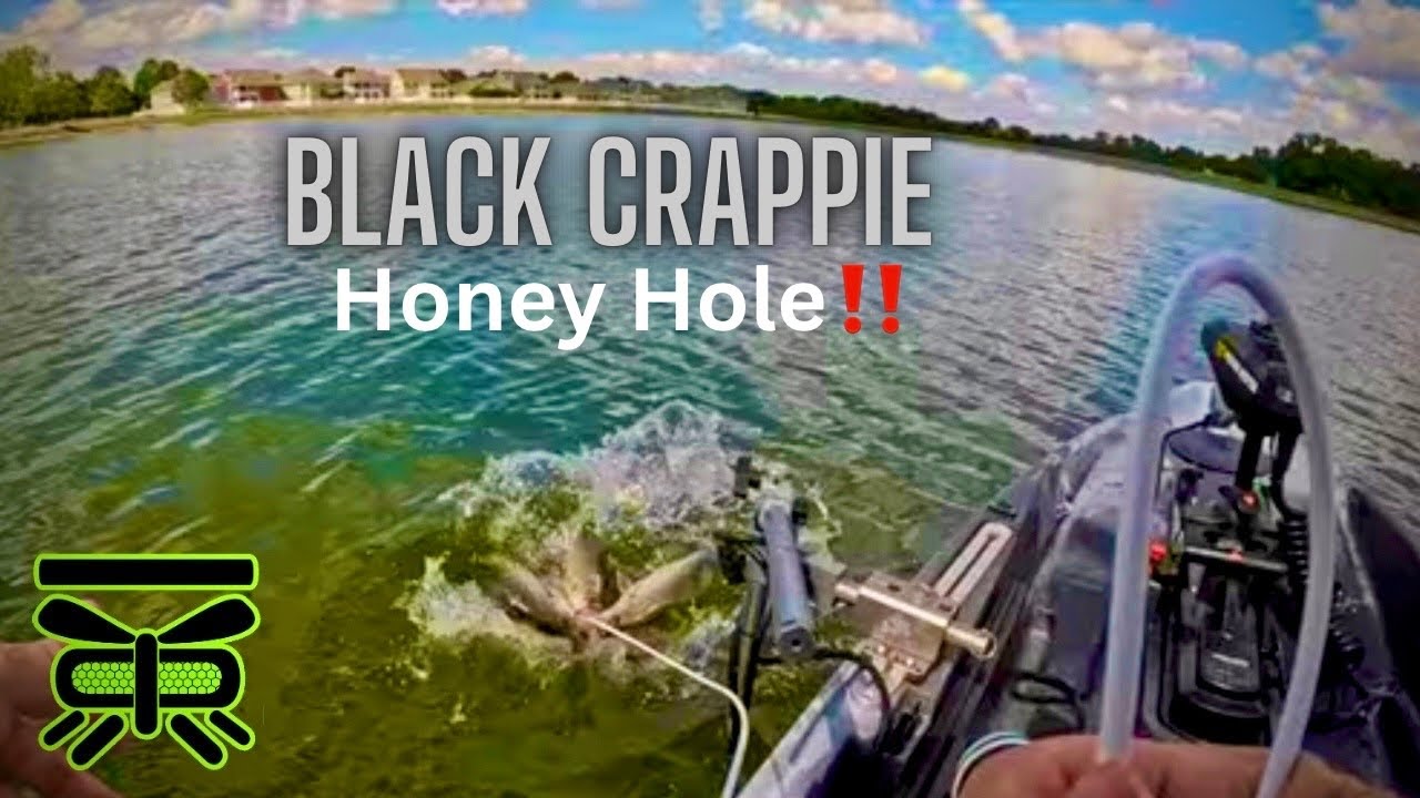 CRAPPIE Fishing with LIVE MINNOWS‼️ [THIS Happens more than you'd think] 😳