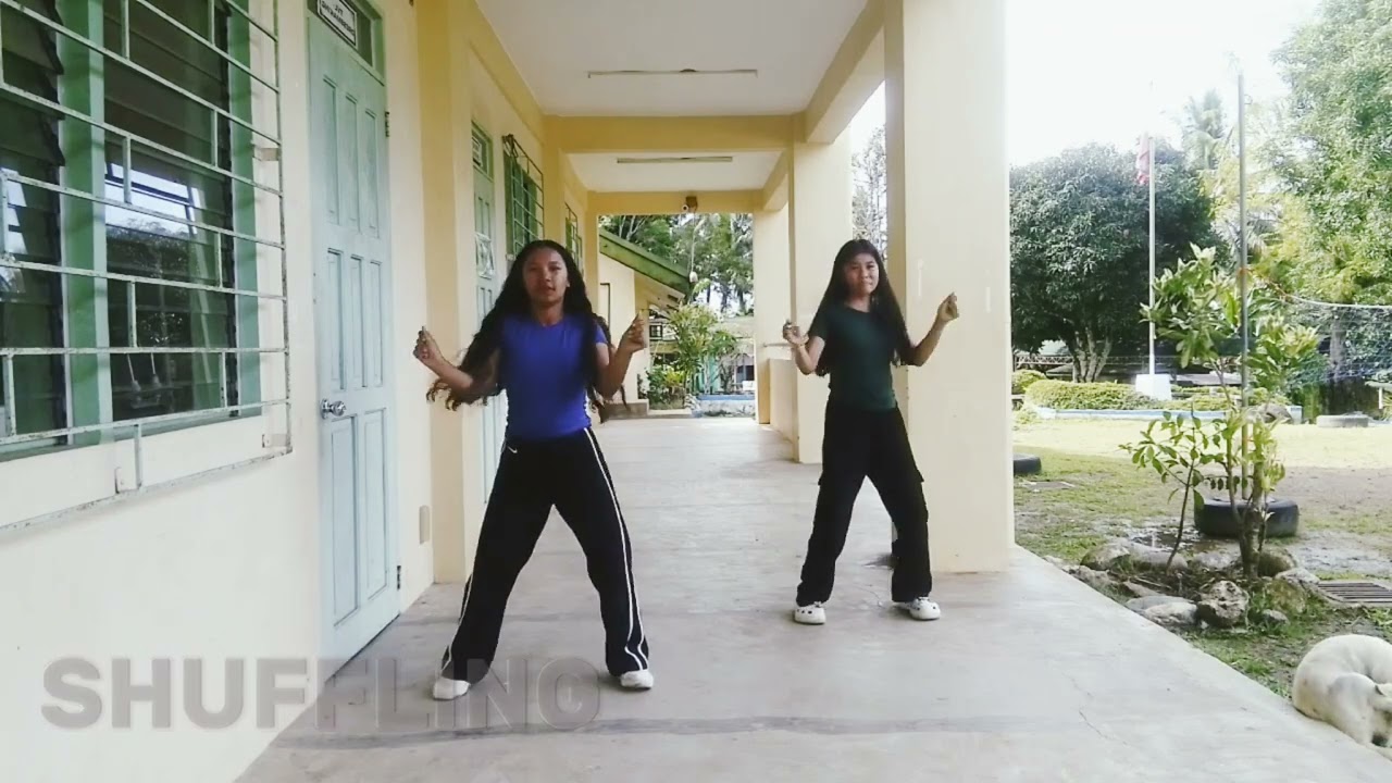 HIP-HOP AND STREET DANCE STYLE ( popping,locking,waaking, Krumping, shuffling,tutting, b-boying)