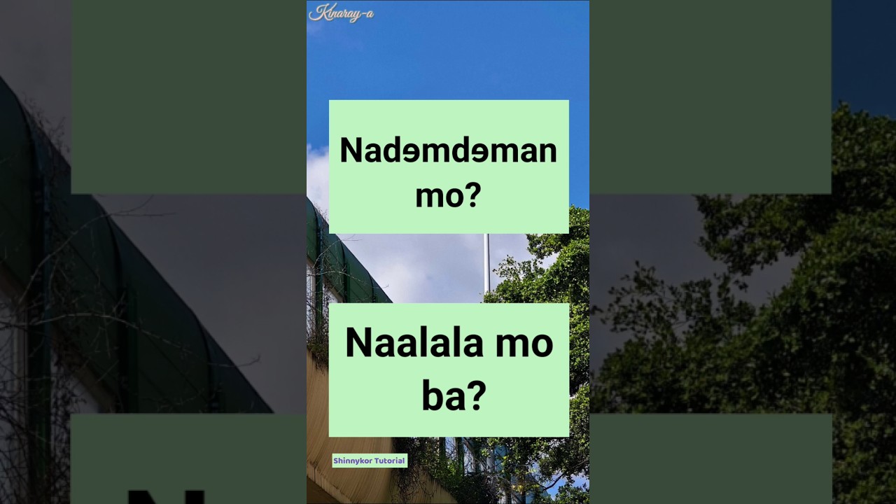 Tagalog - Kinaray-a Translation| Useful Karay-a Expression #languagetranslation #kinaray_a #tagalog