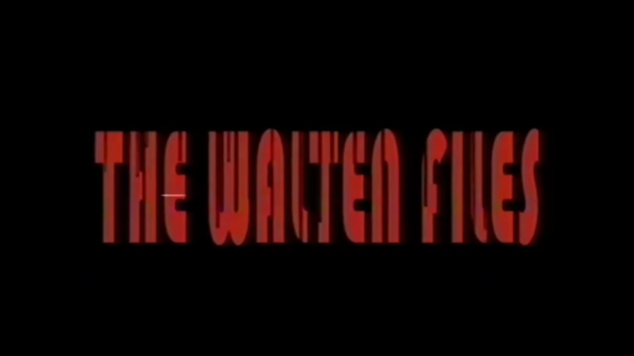 Unknown Instrumental (The Walten Files 4 - CyberFun Tech OST)