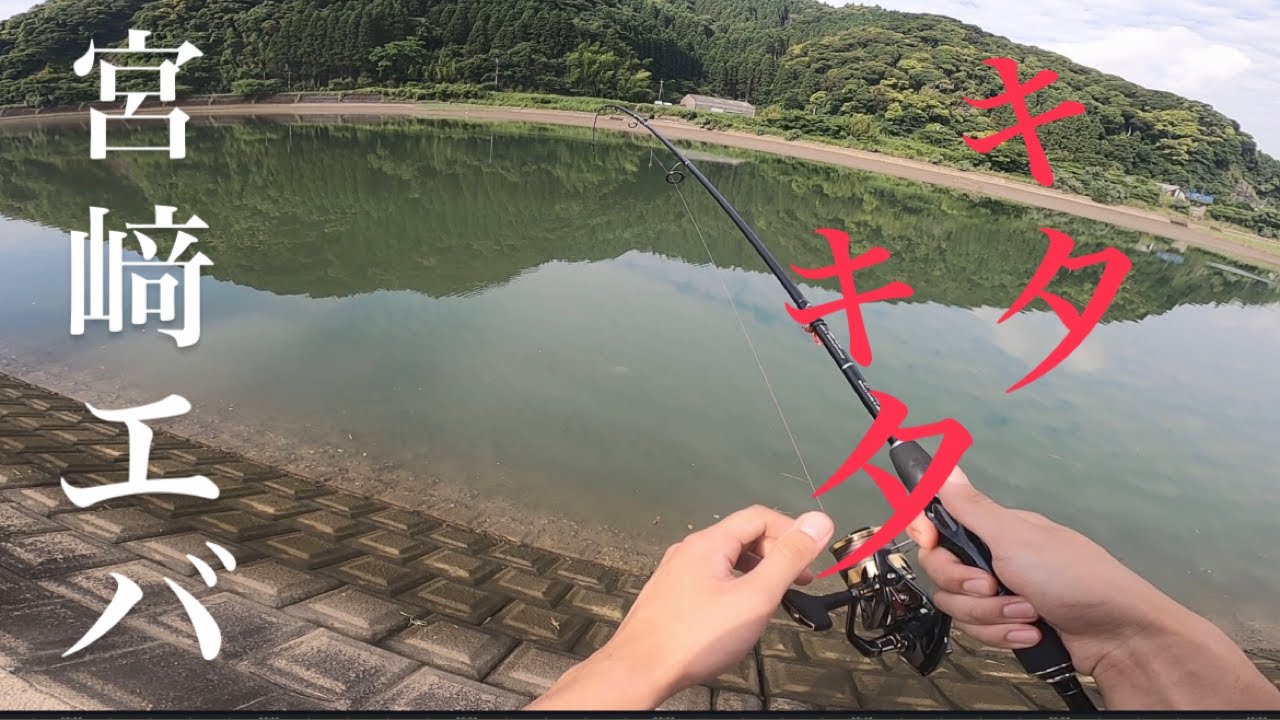 宮崎の夏の風物詩デカエバ釣り！