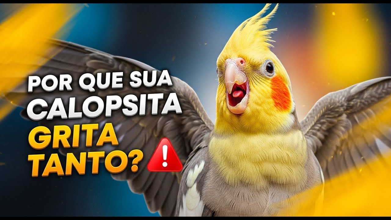 👉 Calopsita Gritando Sem Parar? Descubra as Causas e Como Resolver de Forma Definitiva!