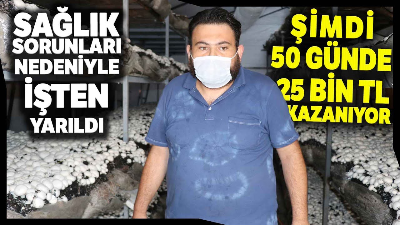 Amatör Kültür Mantarı Yetiştiricisi 50 Günde 25 Bin TL Kazanıyor