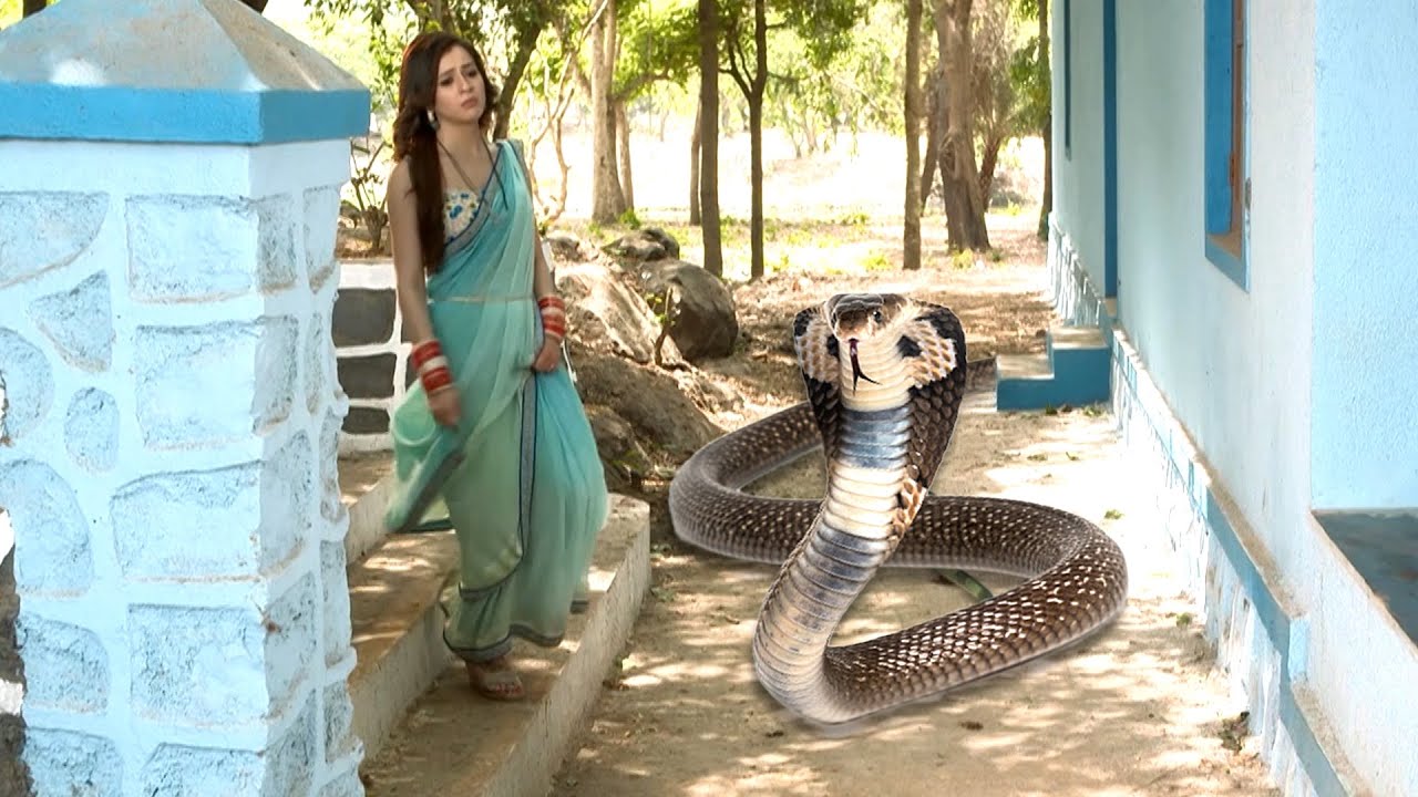 क्या हुआ जब लड़की के रास्ते में आया इच्छाधारी नाग | Icchapyaari Naagin | New Naagin Episode 2024