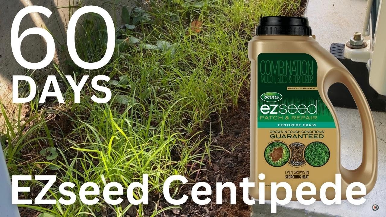 60 Days - Scott's EZseed Centipede Patch and Repair Grass Seed