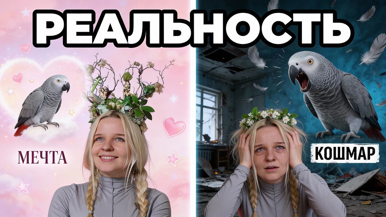 20 фактов о попугае ЖАКО. Главная Говорящая Бестия.