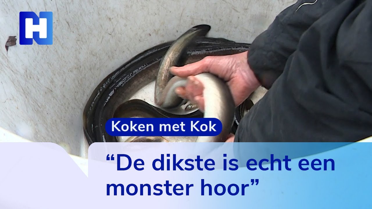 Koken met Kok: Dit gerecht combineert op bijzondere wijze vis met groente