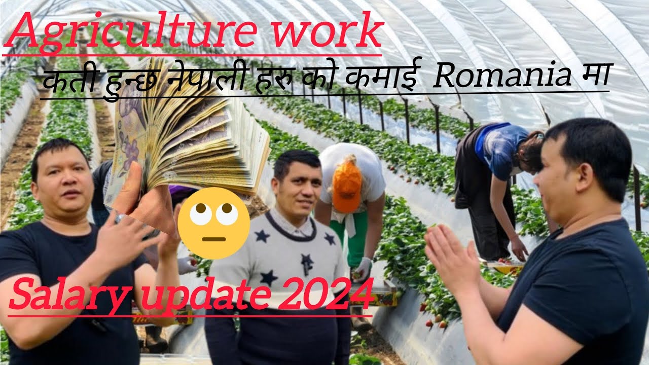 agriculture work salary update 2024 agriculture मा कति हुन्छ नेपाली को कमाई रोमनिया मा?