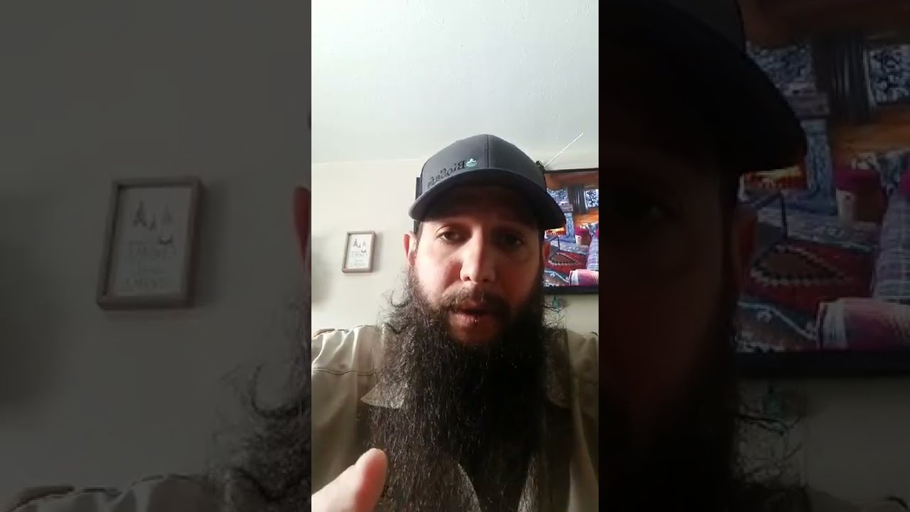 Fungus Gnat 101 for Cannabis