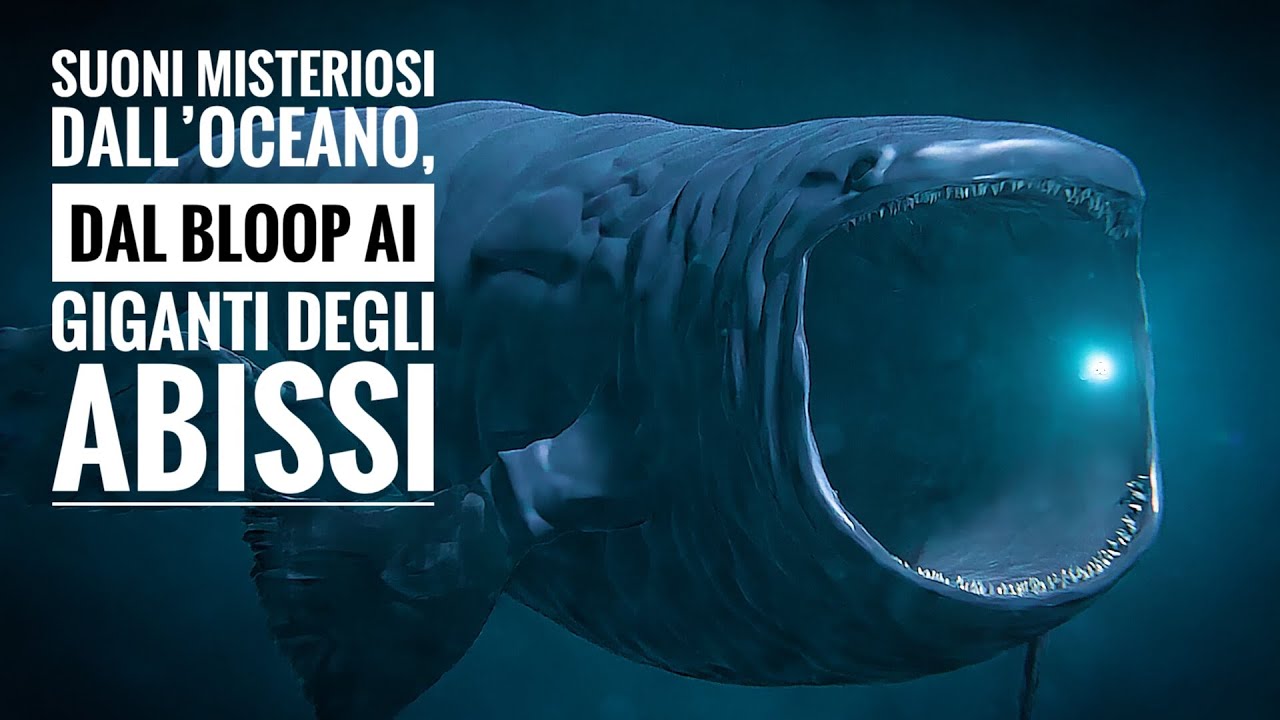 Suoni misteriosi dall&rsquo;oceano, dal Bloop ai giganti degli abissi