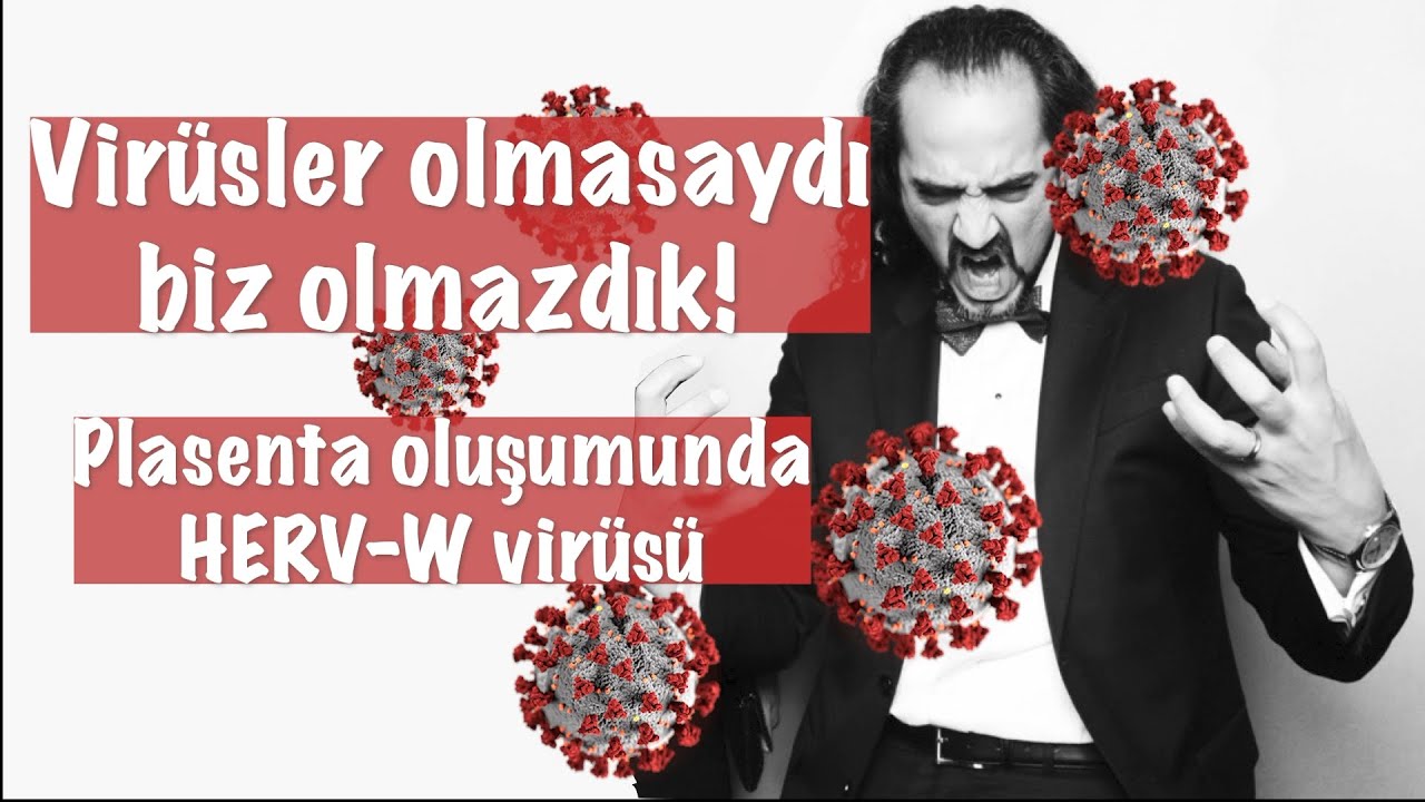 Vir&uuml;sler olmasaydı biz olmazdık! Plasenta oluşumunda HERV-W vir&uuml;s&uuml;