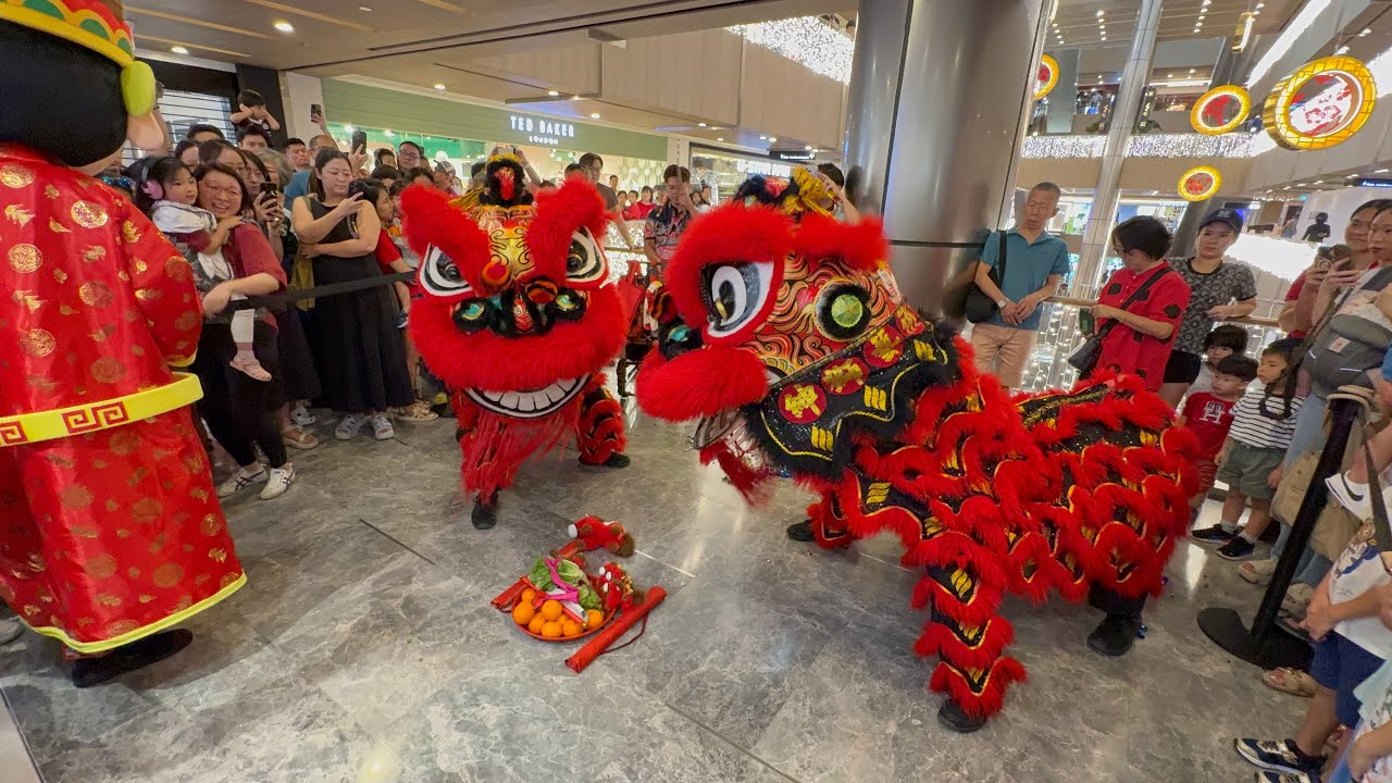 紳獅藝術文化龍獅團The Lion’s Men Lion Dance Cai Qing Performance & Roving at Metro Paragon 19 February 2026