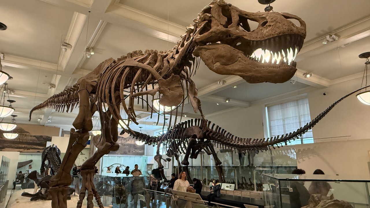 Million years ago… got dinosaurs? March 2026