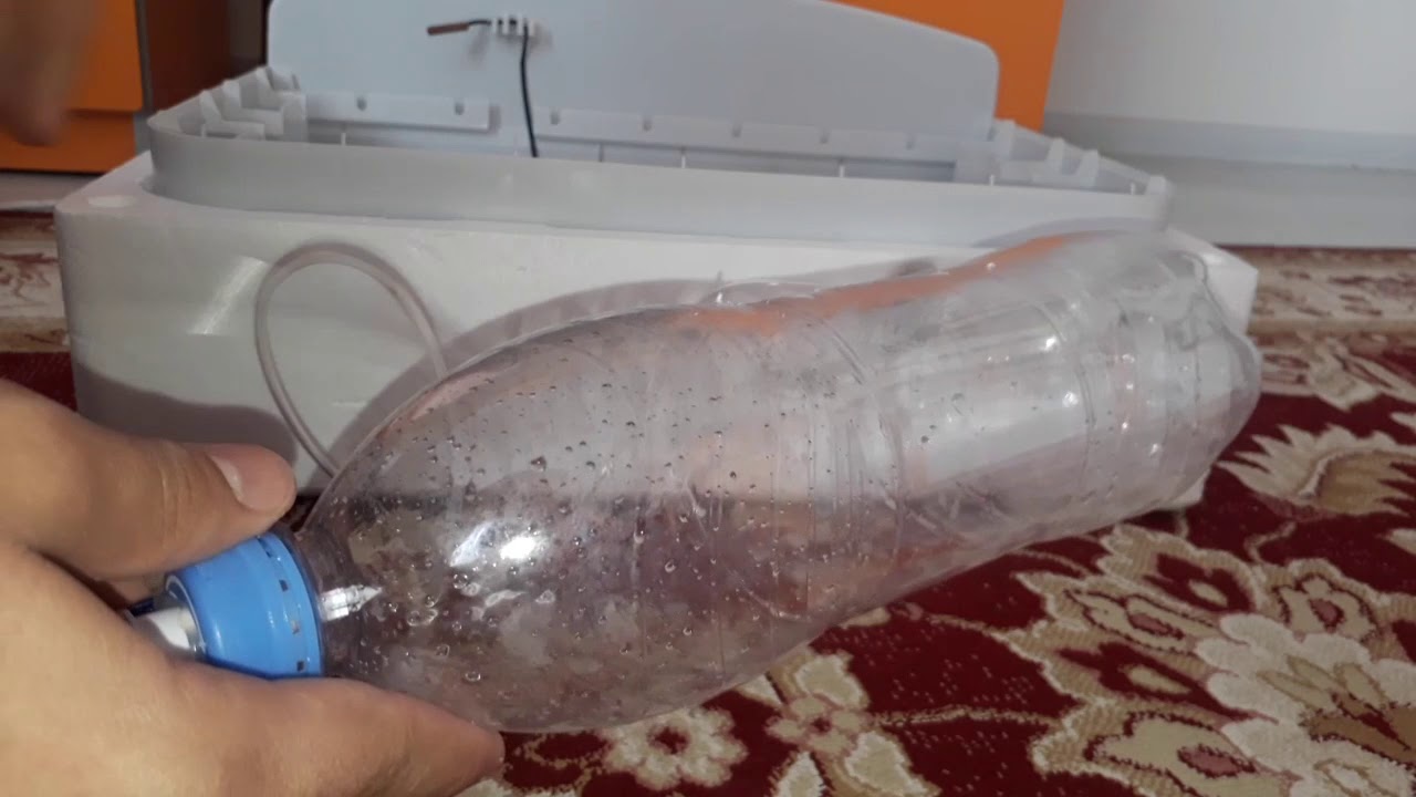 Kuluçka Makinesine Serum Sistemi Ve Yumurta Yüklemesi