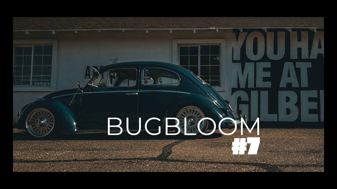 Vintage Volkswagen Show Bug Bloom #7 Desert Dubs VW Club Makes the hour drive