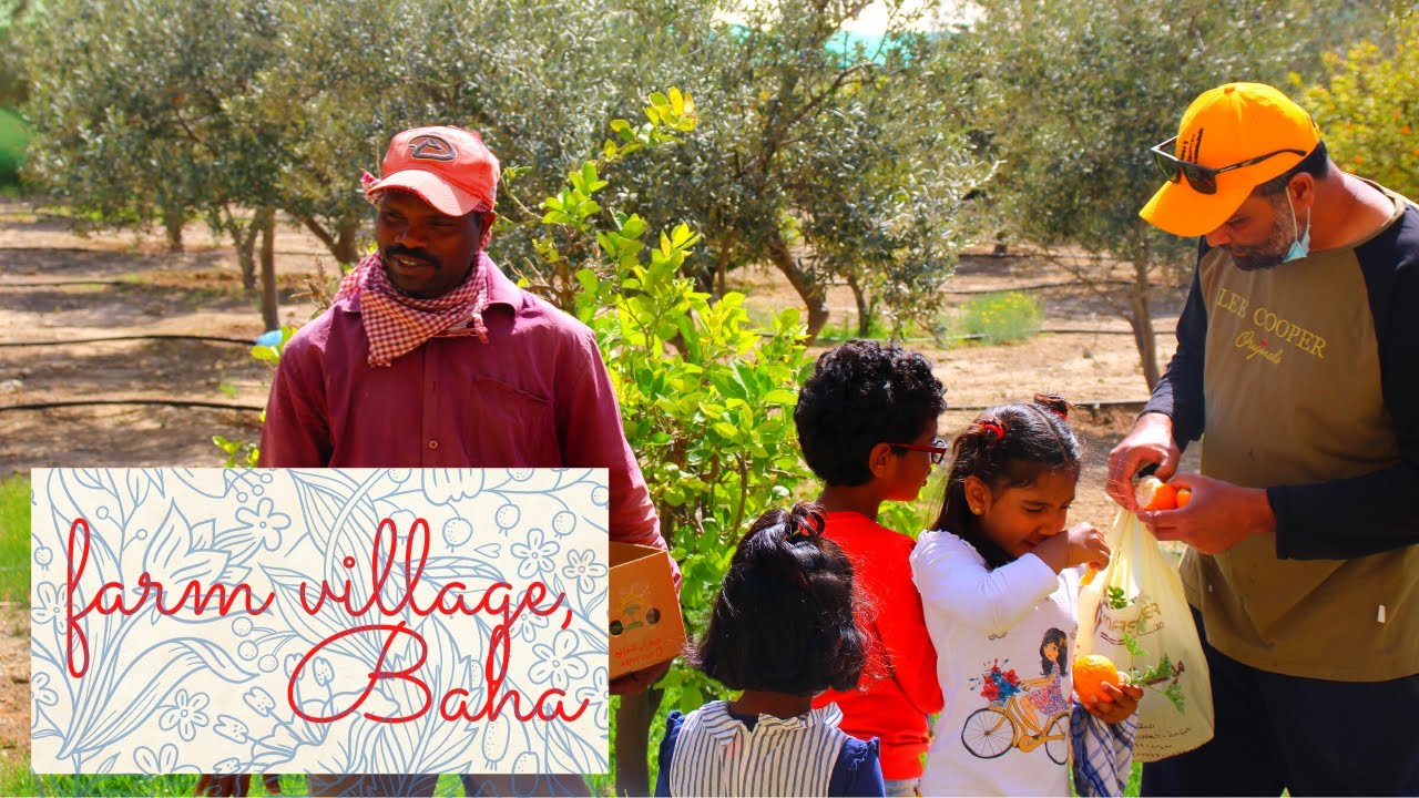 قرية المزرع || Farm Village || Beautiful Village in Baha