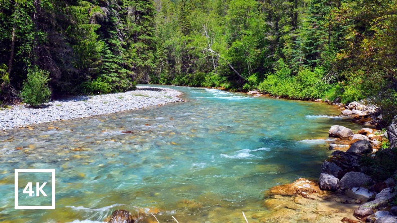 4K Alpine Oasis | Pristine Mountain Stream & Forest River Ambience for Sleep, Relaxation & Focus