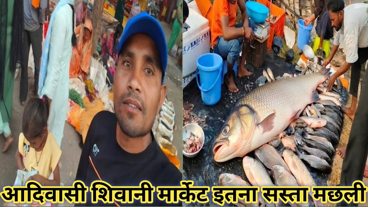 आदिवासी शिवानी मार्केट इतना सस्ता मछली 🐠 Bhagirathi Sahu vlog 