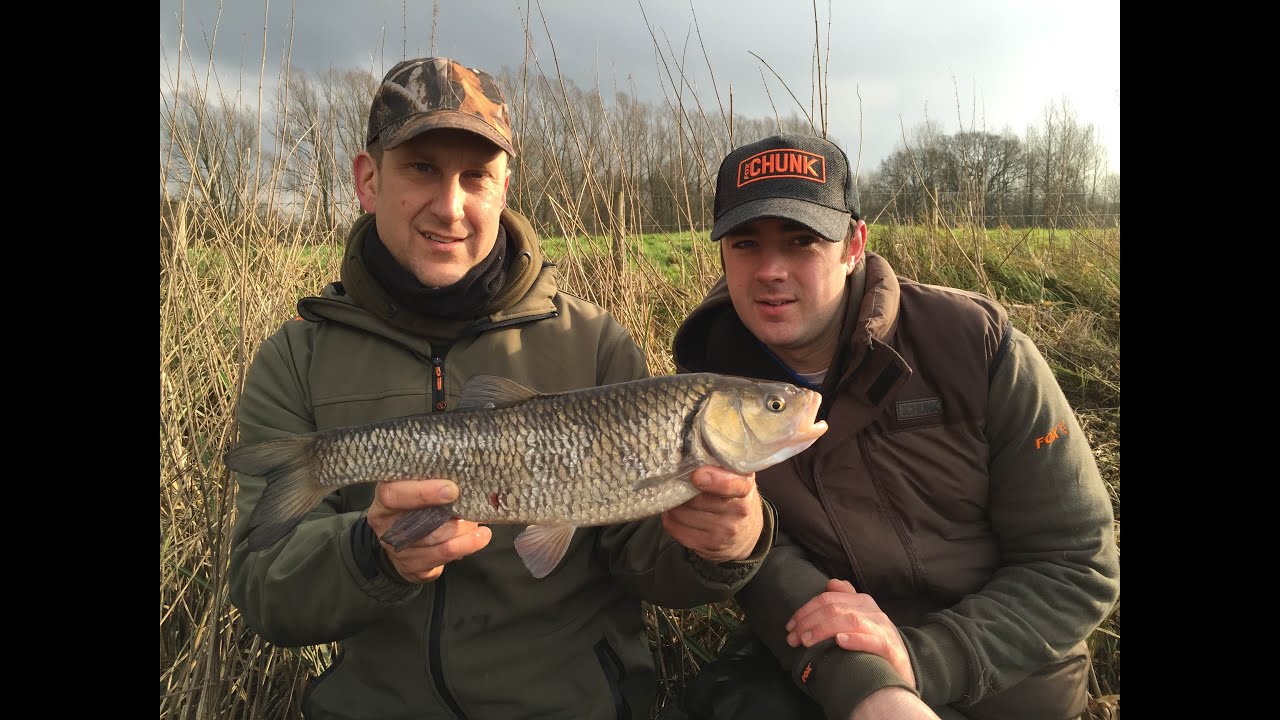 Chub Fishing On The River - Rigs, Tips & Tactics