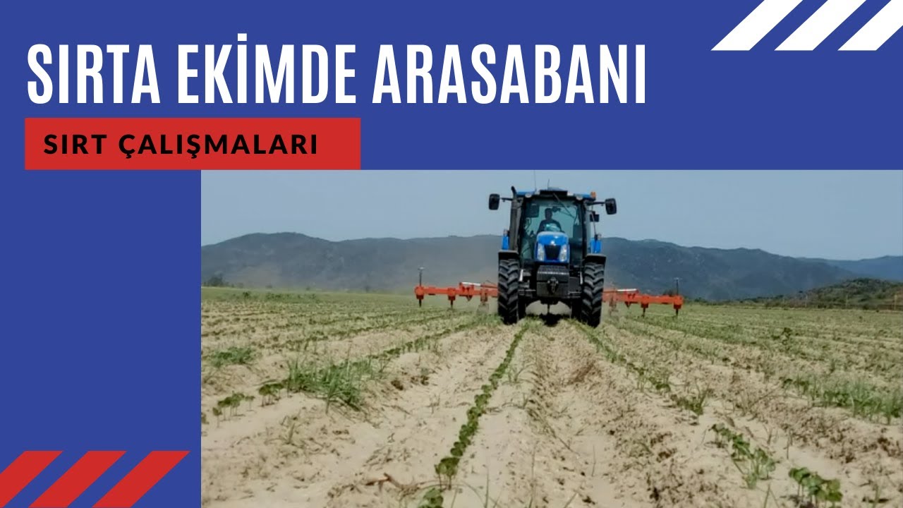 SIRT ÇALIŞMALARI 7 | SIRTA EKİMDE TAM GAZ ARASABANI // RIDGE TRIALS 7 | DEEP IN-ROW TILLAGE