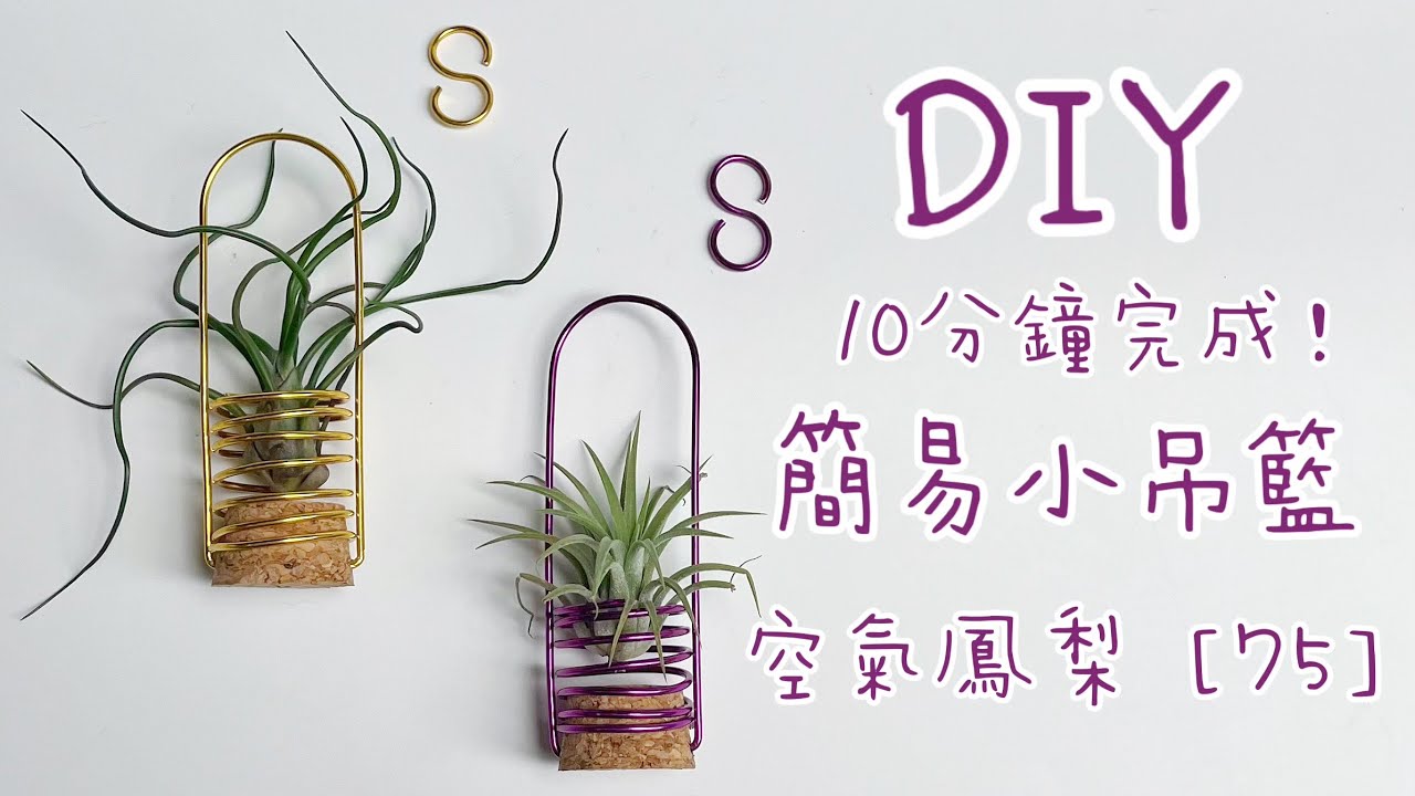 DIY wire 教你如何使用彩色鋁線製作空氣鳳梨  簡易小吊籃 空鳳架 How to make Aluminum wire Air plant Potted plant