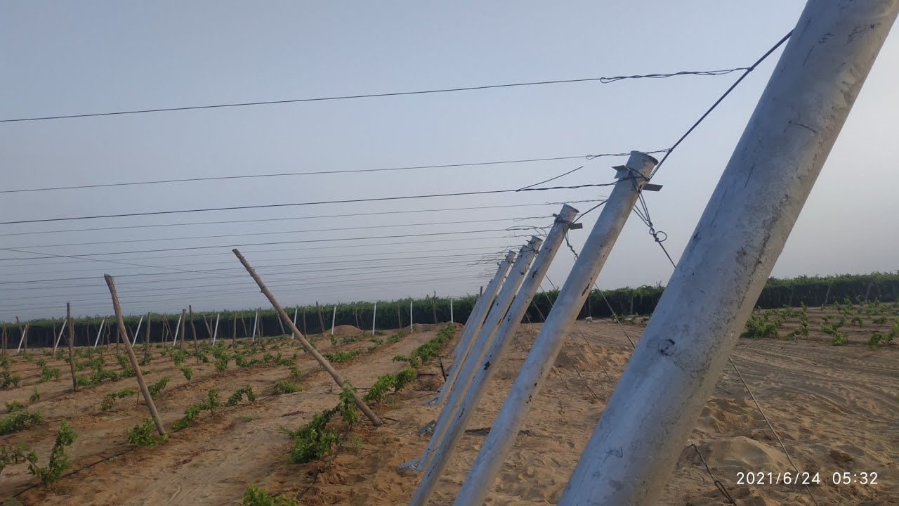 أية السلك والخشب بالملي📏📐🖋️📘 وكمان تكلفه الفدان الواحد بالنسبة للعنب